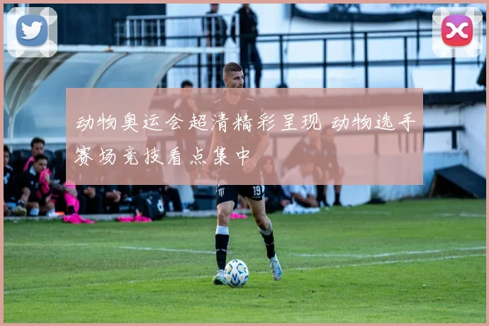 动物奥运会超清精彩呈现 动物选手赛场竞技看点集中