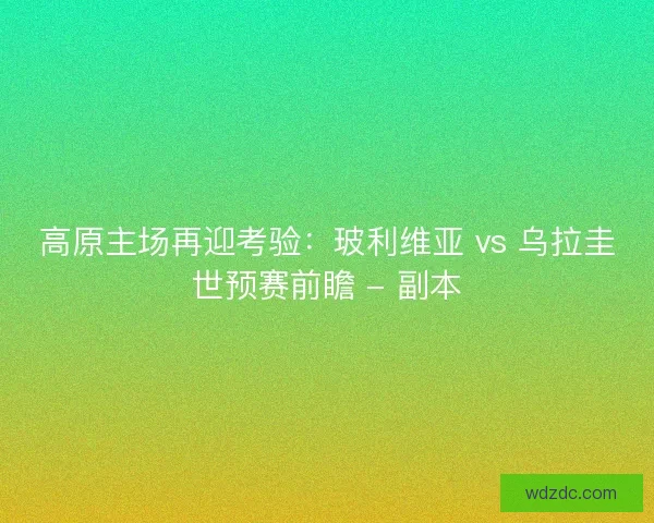 高原主场再迎考验：玻利维亚 vs 乌拉圭世预赛前瞻 - 副本