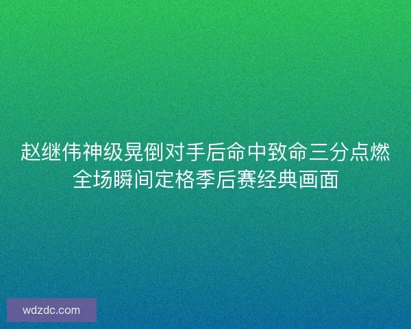 赵继伟神级晃倒对手后命中致命三分点燃全场瞬间定格季后赛经典画面
