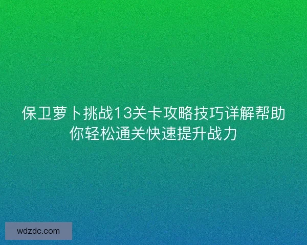 保卫萝卜挑战13关卡攻略技巧详解帮助你轻松通关快速提升战力