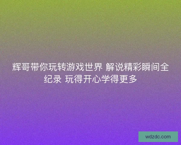 辉哥带你玩转游戏世界 解说精彩瞬间全纪录 玩得开心学得更多