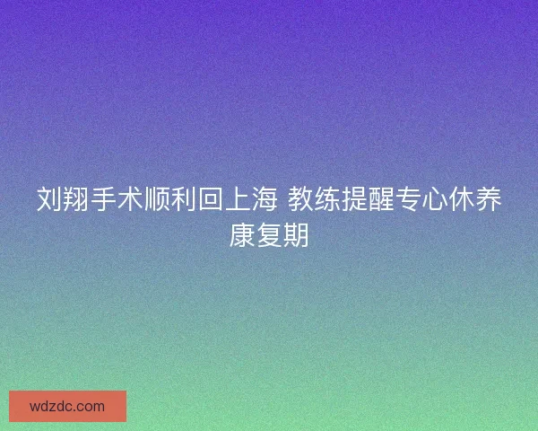 刘翔手术顺利回上海 教练提醒专心休养康复期
